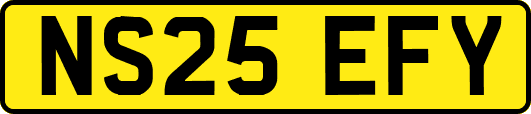 NS25EFY