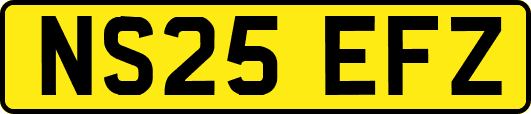 NS25EFZ