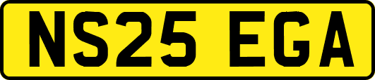 NS25EGA