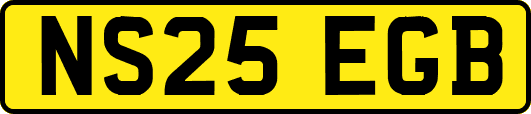 NS25EGB
