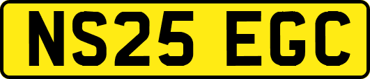 NS25EGC