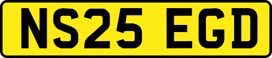 NS25EGD