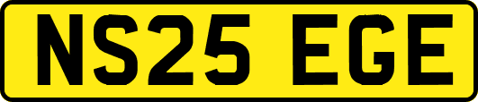 NS25EGE