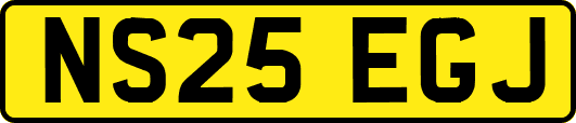 NS25EGJ
