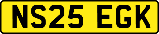 NS25EGK