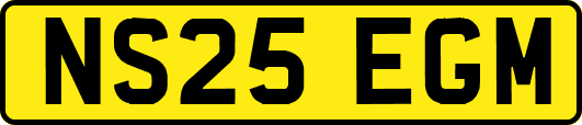 NS25EGM