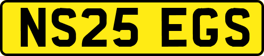 NS25EGS
