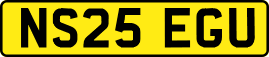 NS25EGU