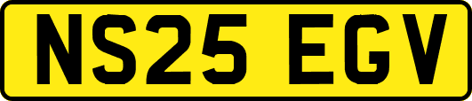 NS25EGV