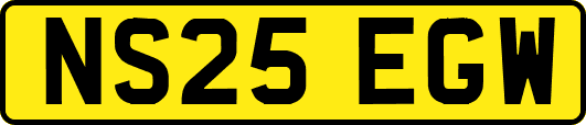 NS25EGW