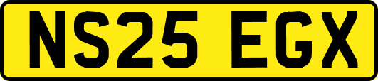 NS25EGX
