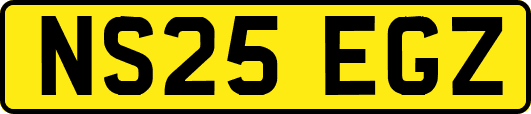NS25EGZ