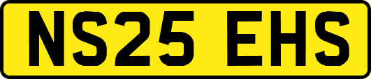 NS25EHS