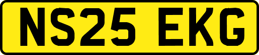 NS25EKG