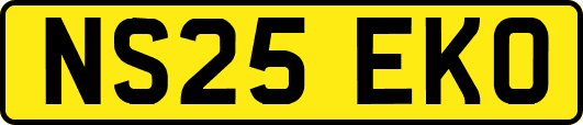 NS25EKO