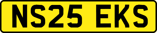 NS25EKS