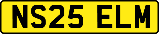 NS25ELM