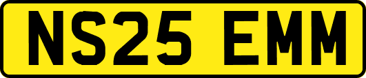 NS25EMM