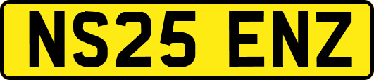 NS25ENZ