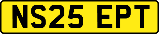 NS25EPT