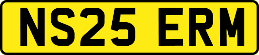 NS25ERM