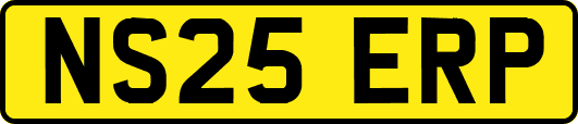 NS25ERP