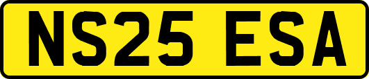 NS25ESA