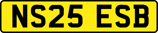 NS25ESB