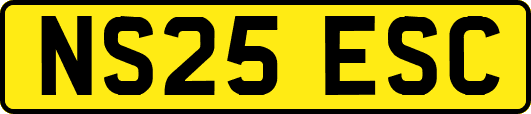 NS25ESC