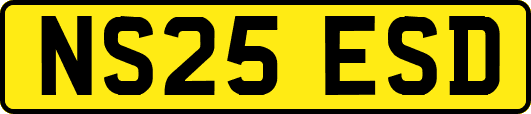 NS25ESD