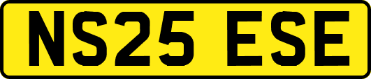 NS25ESE