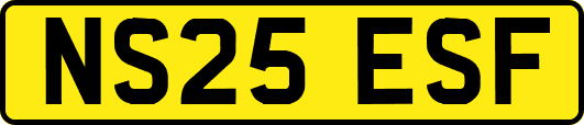 NS25ESF