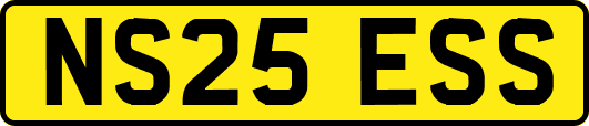 NS25ESS