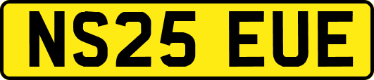 NS25EUE