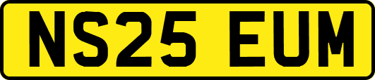 NS25EUM