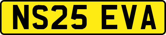 NS25EVA