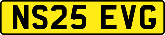 NS25EVG