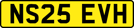 NS25EVH