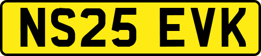 NS25EVK