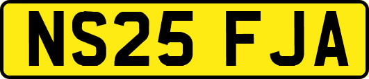 NS25FJA