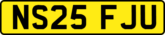 NS25FJU