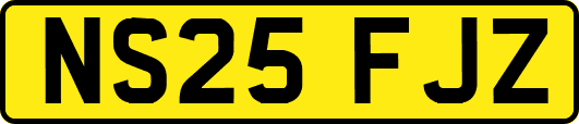 NS25FJZ