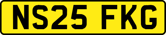 NS25FKG