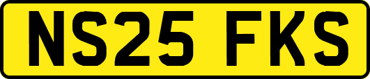 NS25FKS