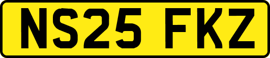 NS25FKZ