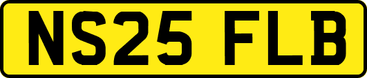 NS25FLB