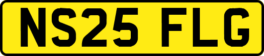 NS25FLG