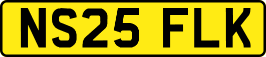 NS25FLK