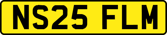 NS25FLM