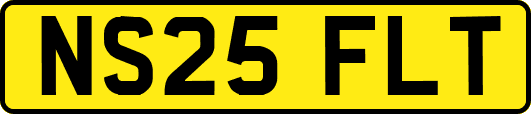 NS25FLT